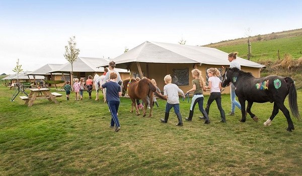 Slapen bij de boer op een paardenhouderij