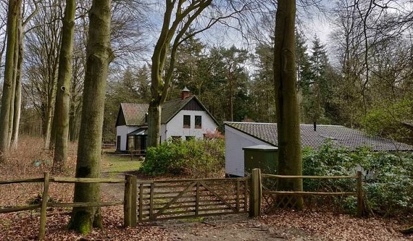 Bijzondere overnachting in het bos