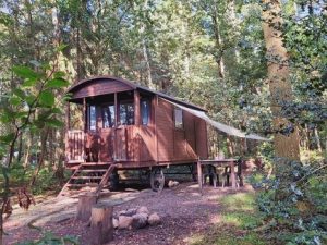Knusse pipowagen in het bos