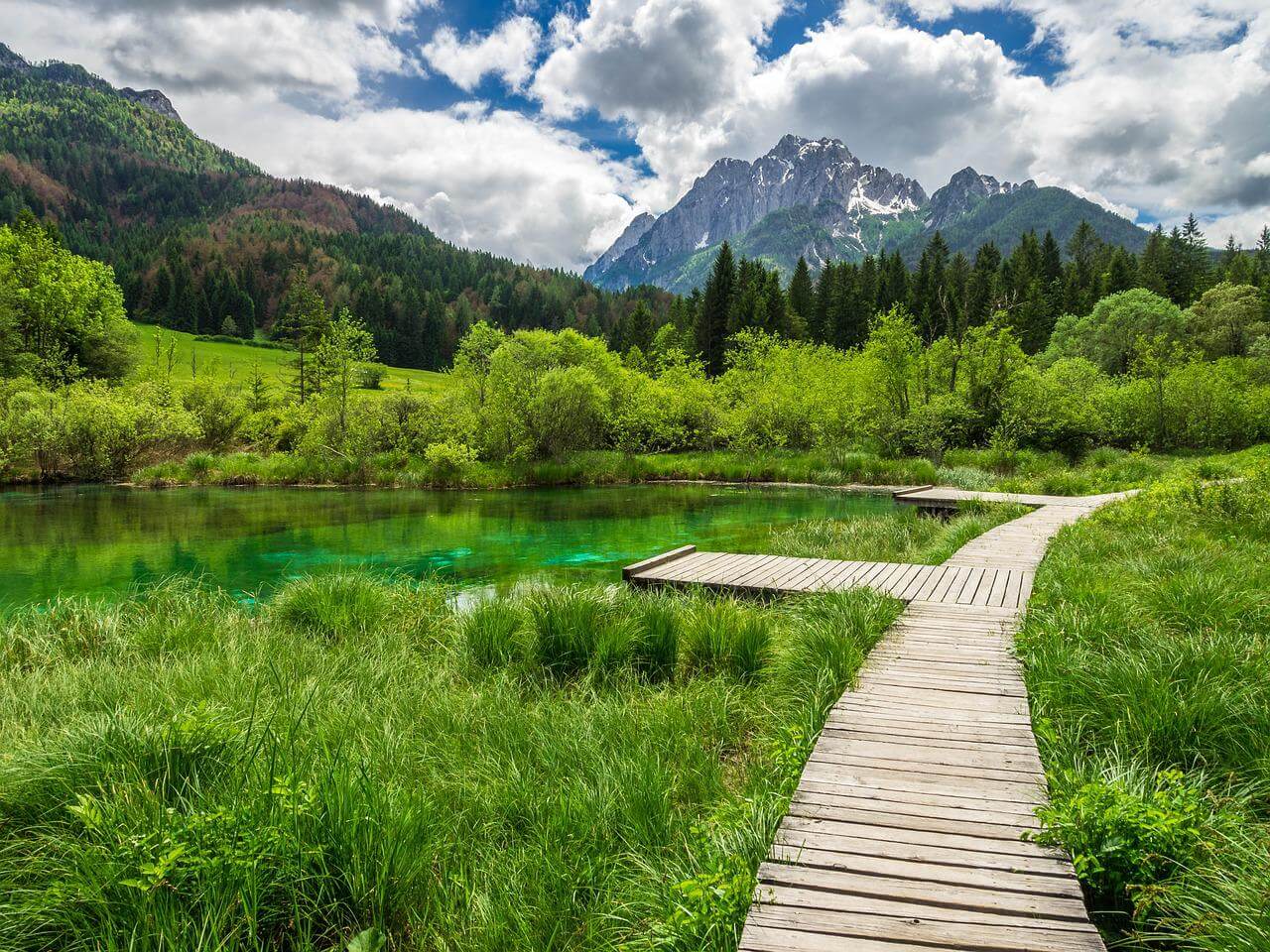 10x natuurhuisjes in Slovenië!
