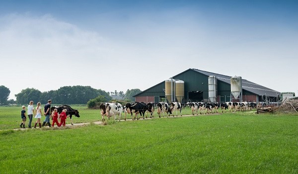 Slapen bij de boer op boerderij Op Flakkee