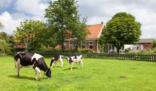 Slapen bij de boer in Zeeland