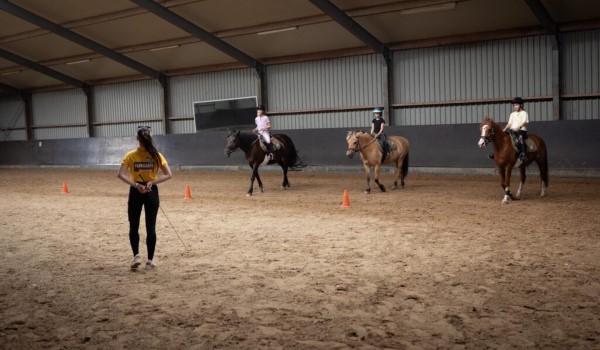 Camping met manege Holzik Stables