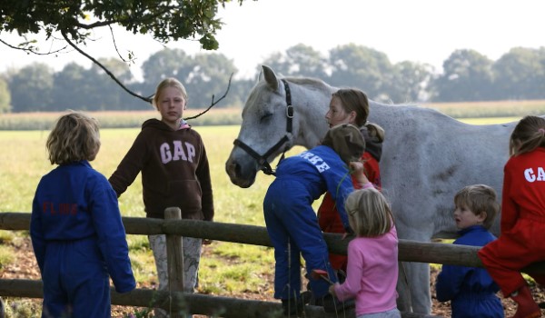 Camping met paarden De Lange Weide
