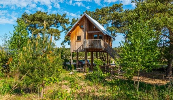 Zwerfhut op hoogte in Otterlo