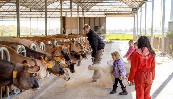 Boerderijcamping 