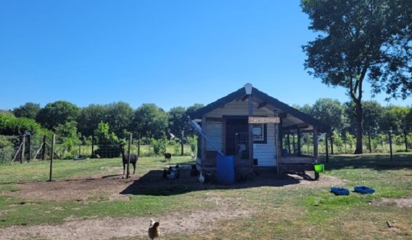 Kinderboerderij op camping Holterberg