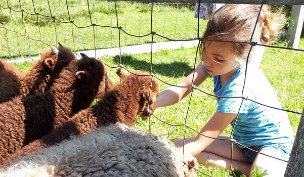 Dierenwijde op Molecaten park