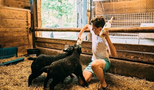 Kinderboerderij op boerderij Boerenbed