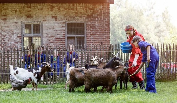Kinderboerderij op Vakantiepark Dierenbos