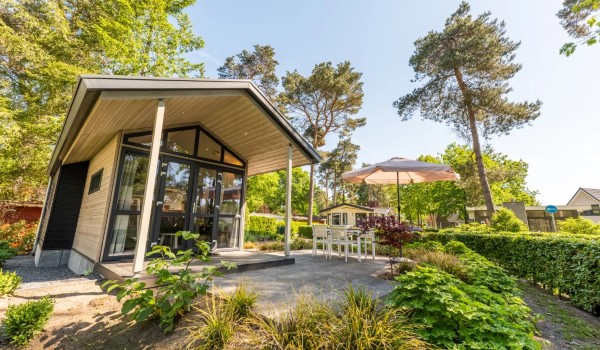 Tiny house in de Achterhoek - Bijzondere Accommodaties